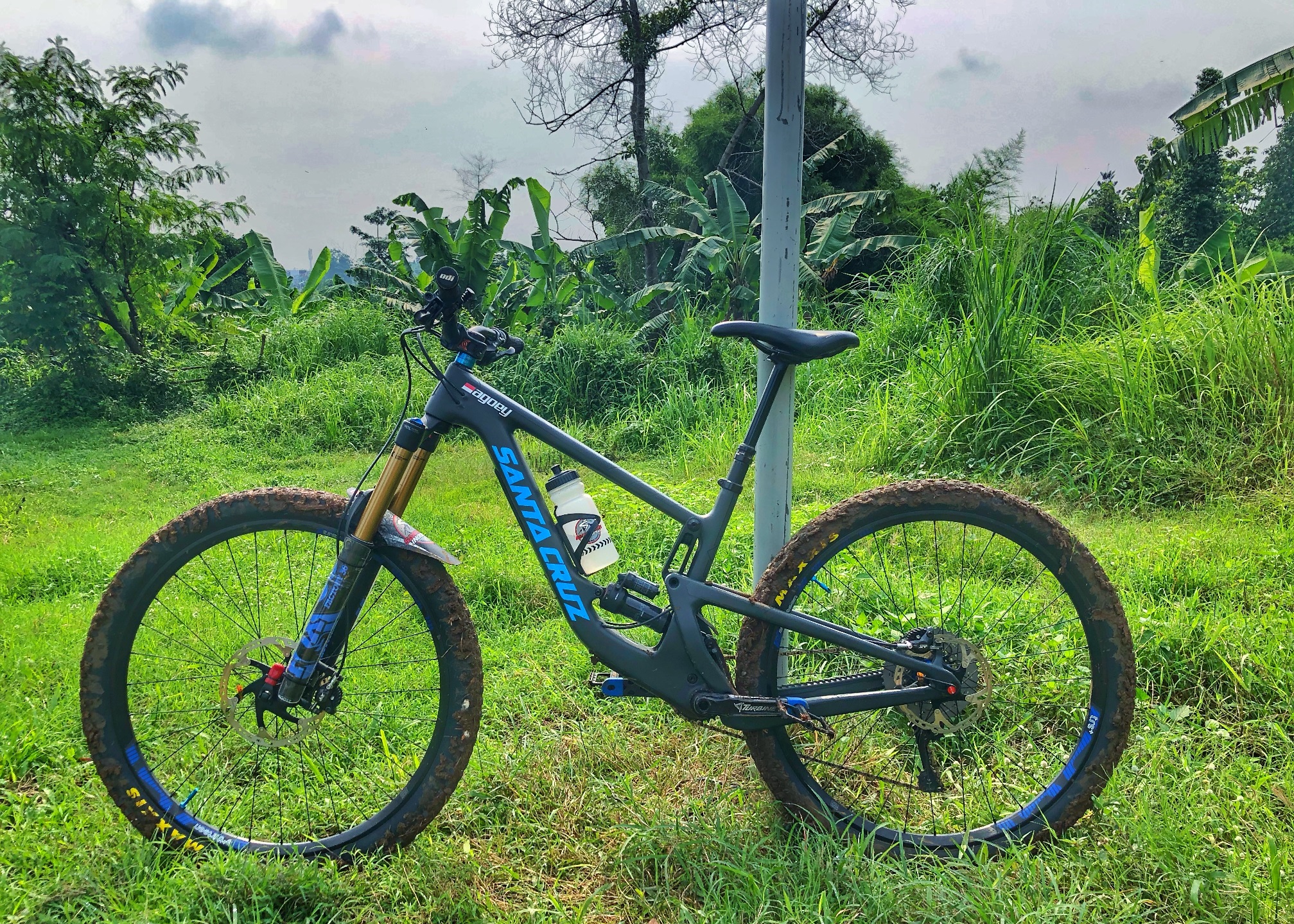 17 Santa Cruz Of The Week Santa Cruz Indonesia